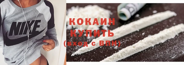 прущие крисы Бородино