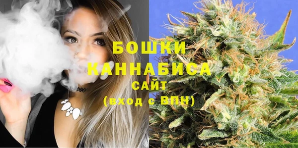 мдпв Бронницы