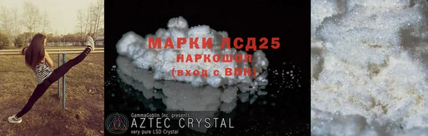 прущие крисы Бородино