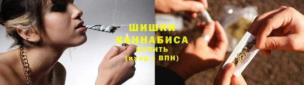 прущие крисы Бородино