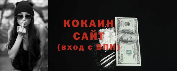 прущие крисы Бородино