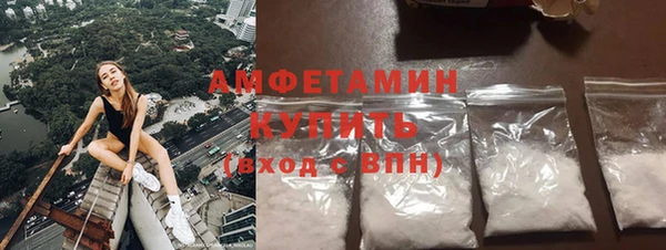 прущие крисы Бородино