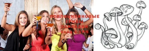 мдпв Бронницы