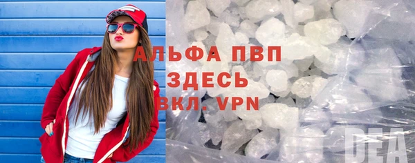 прущие крисы Бородино