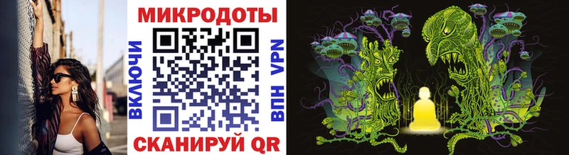 продажа наркотиков  omg маркетплейс  Псилоцибиновые грибы GOLDEN TEACHER  Кизляр 